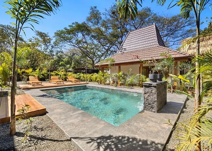 Casa Aves